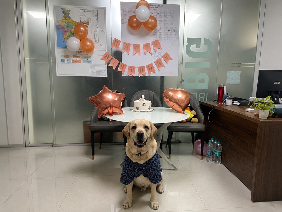 Newtein, Chief Security Officer